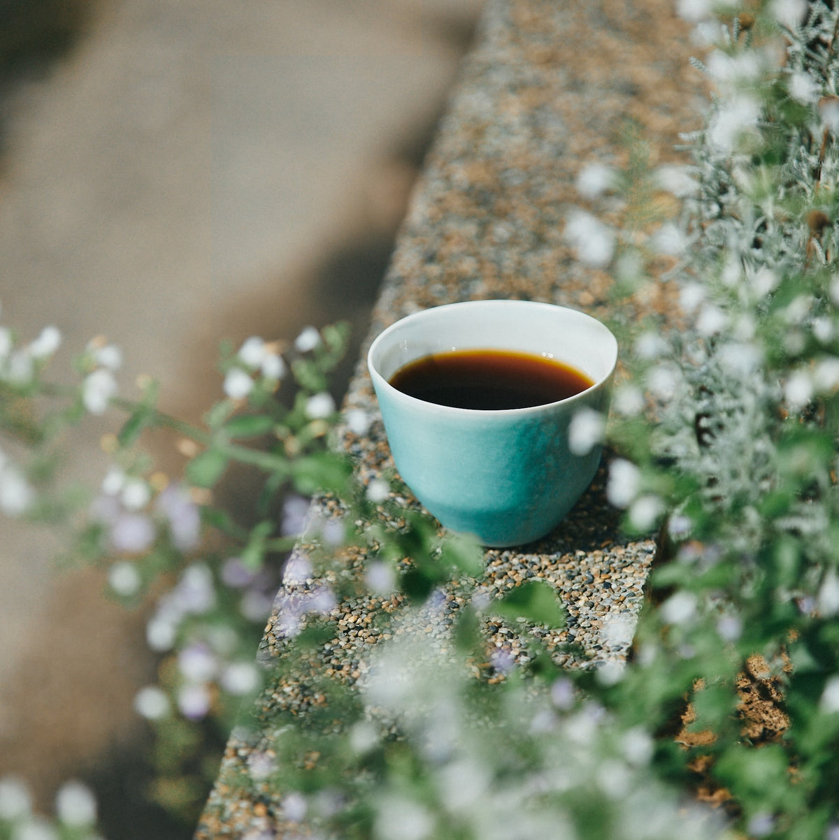 【Coffee Subscription】コーヒー豆 定期便